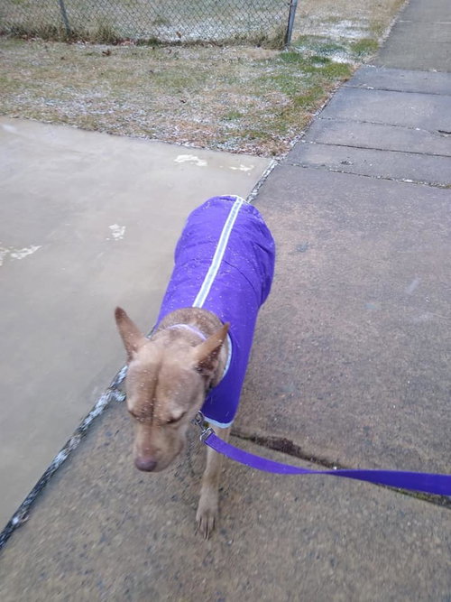 Coco photo 11