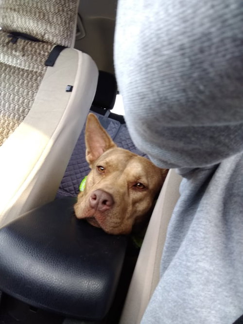 Photo 6 of Coco