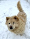 Tyron - Photo 2