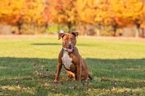 Photo 6 of Missy