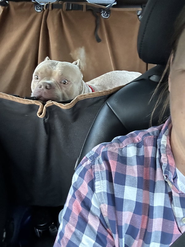 McNugget