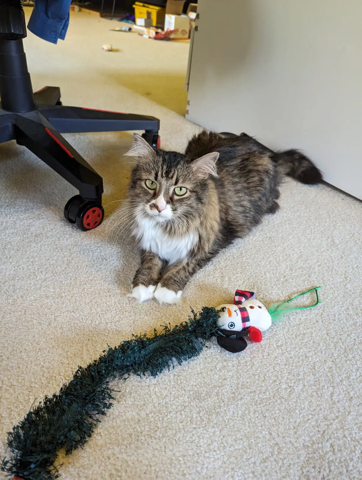 Izzy image 4