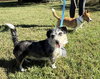 Zeek & Bella - Photo 5