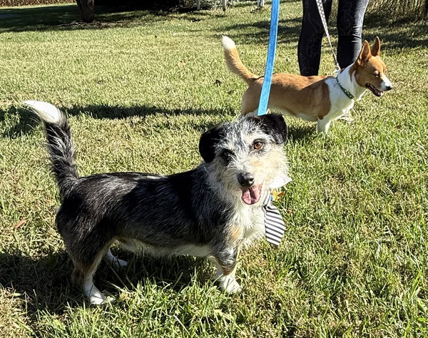 Zeek & Bella