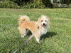 Sofie - Photo 2