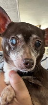 Mimi - Photo 3