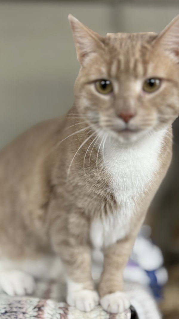 Rita