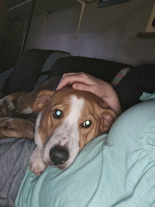 Abbey Mae, photo 3