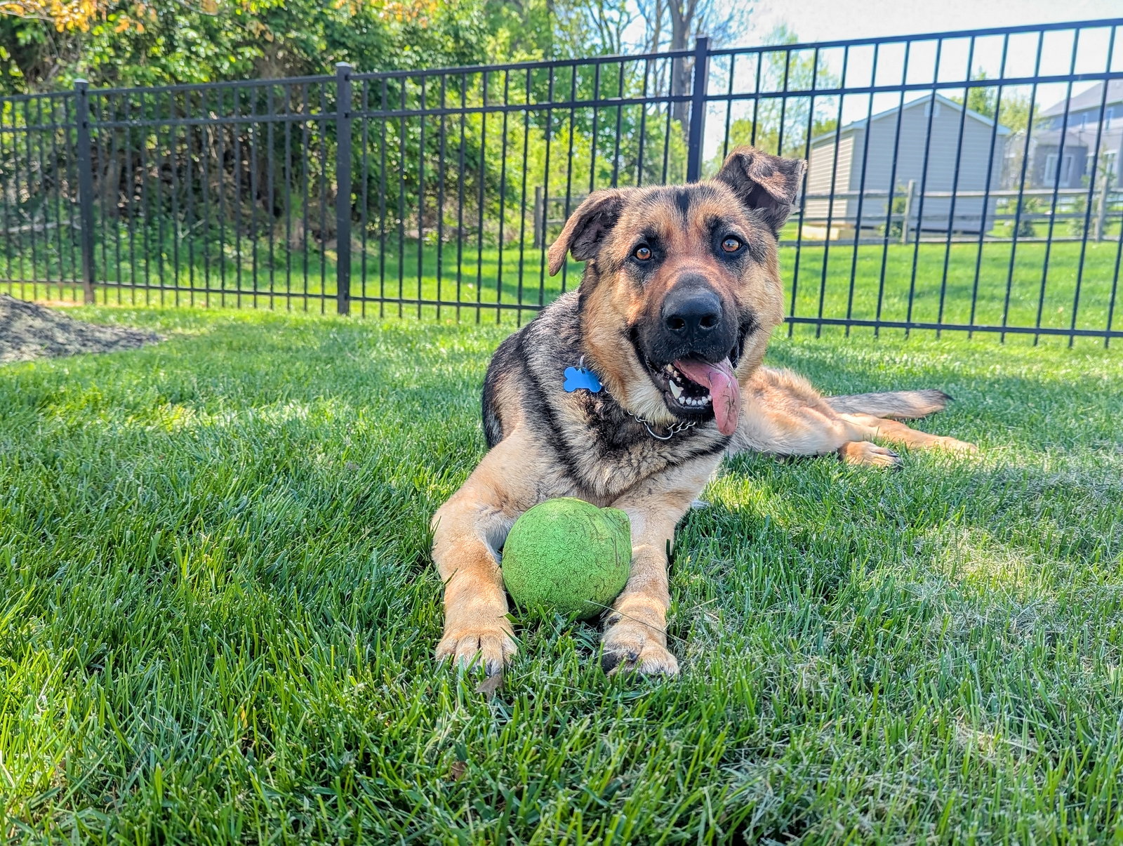 Luna