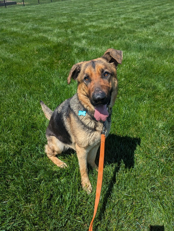 Luna