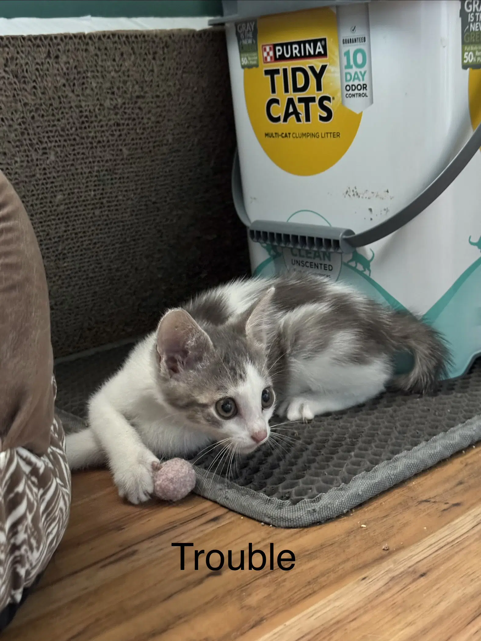 Trouble  Friends image 2