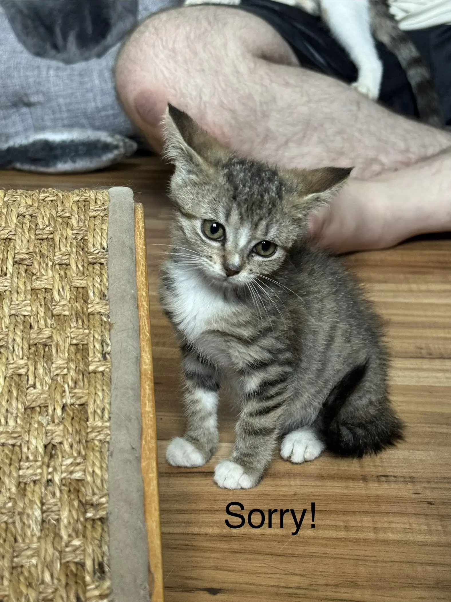 Trouble  Friends image 3