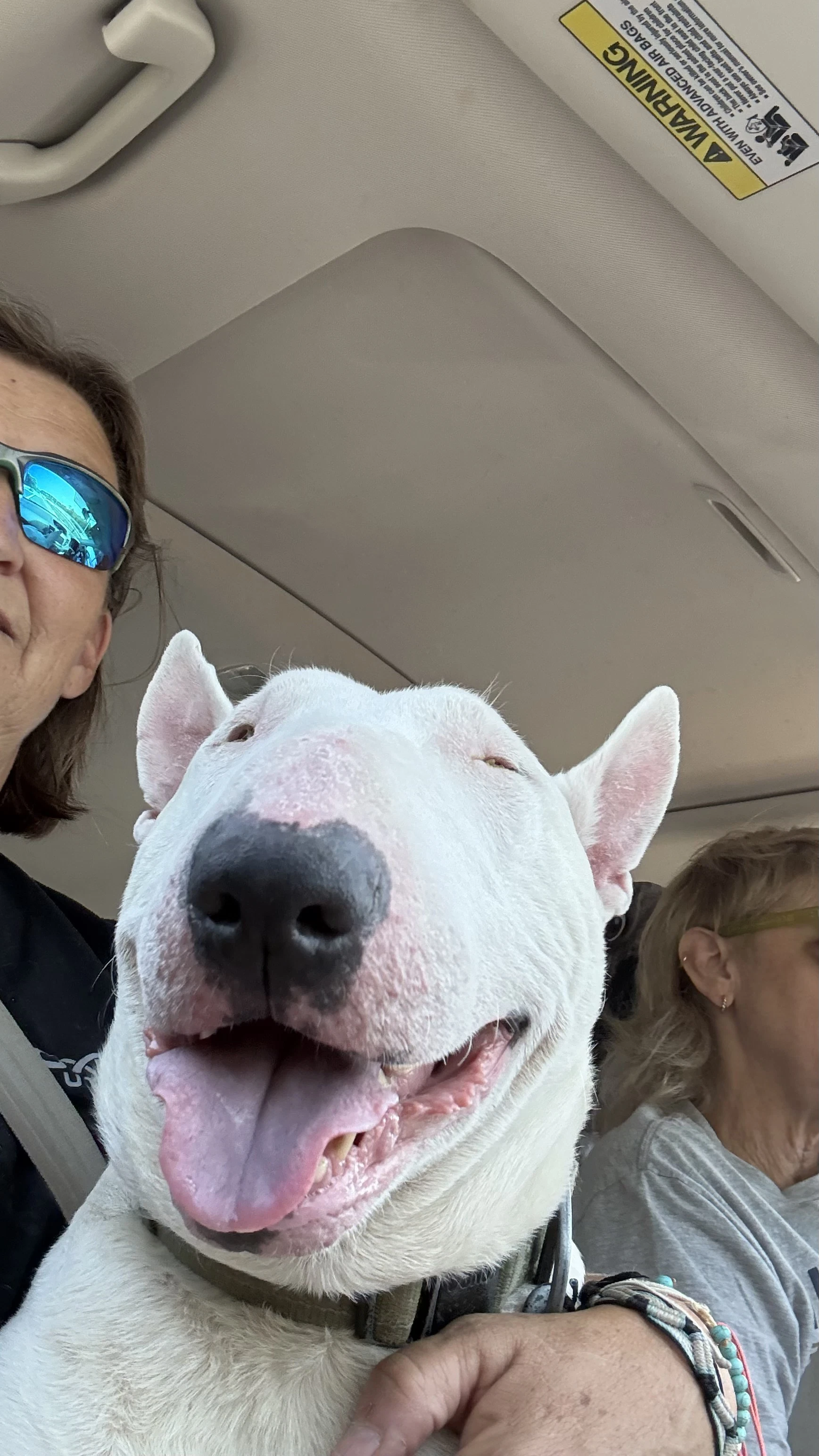 Grimm