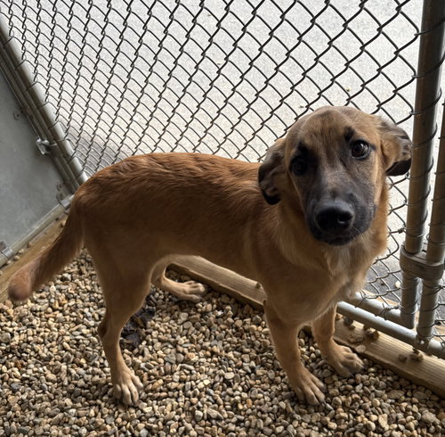 Princess 5 months AVAILABLE 4/29