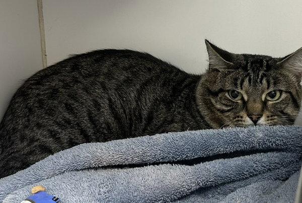 Rupert 6 years old