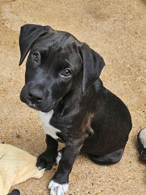 trina - 3 months ( Avail 6/4)