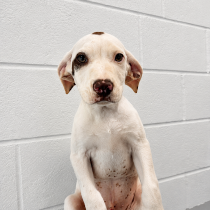 Kye 3 months AVAILABLE 6/10