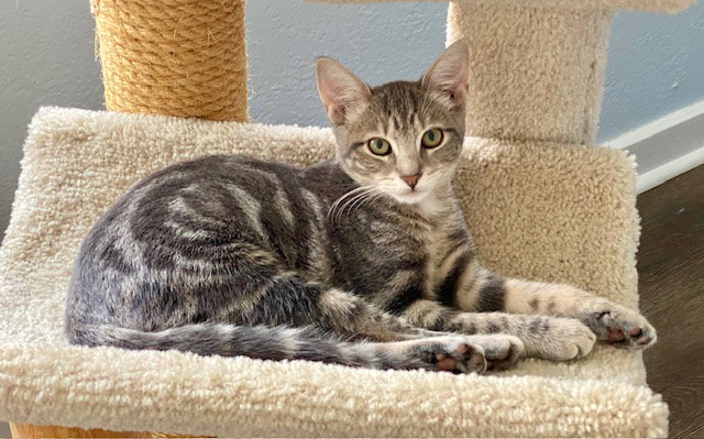 Paisley 1 year AVAILABLE 6/24