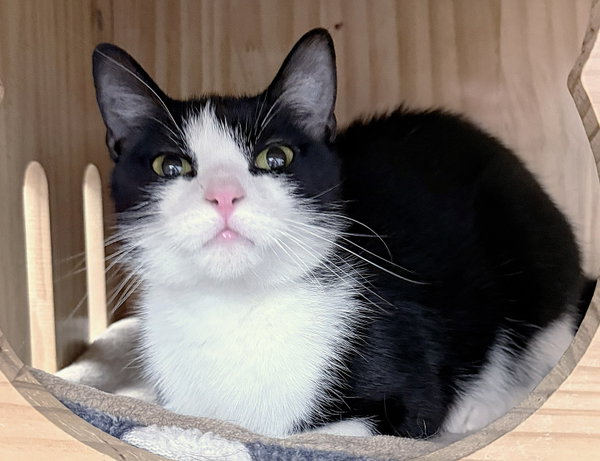 Rosalie 9 months AVAILABLE 6/24