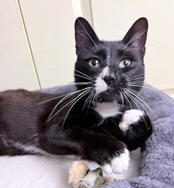 Scott 1 year AVAILABLE 6/24