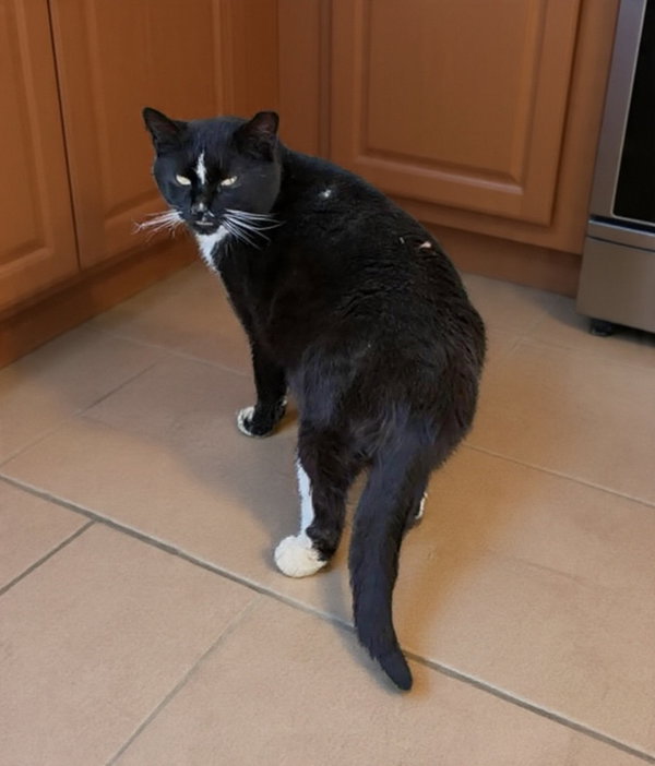 Eric 2 years AVAILABLE 6/24
