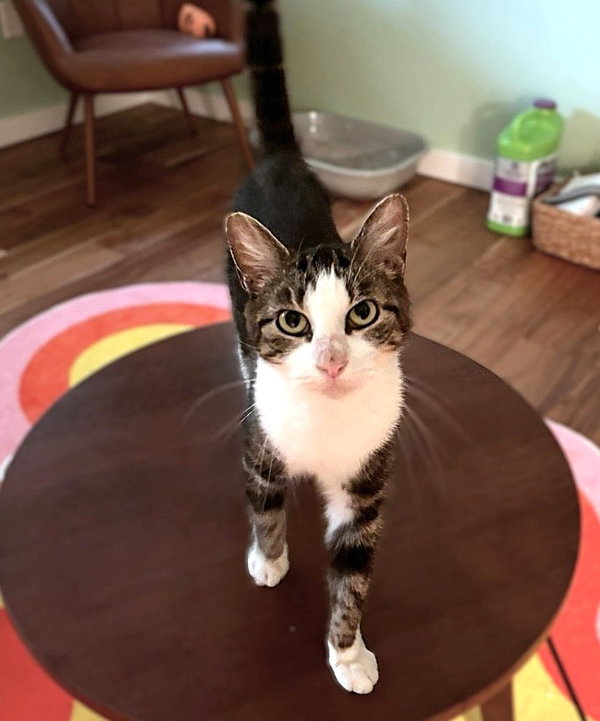 Sarah 4 years AVAILABLE 6/24