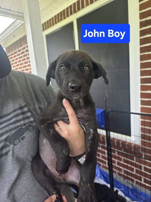 John Boy