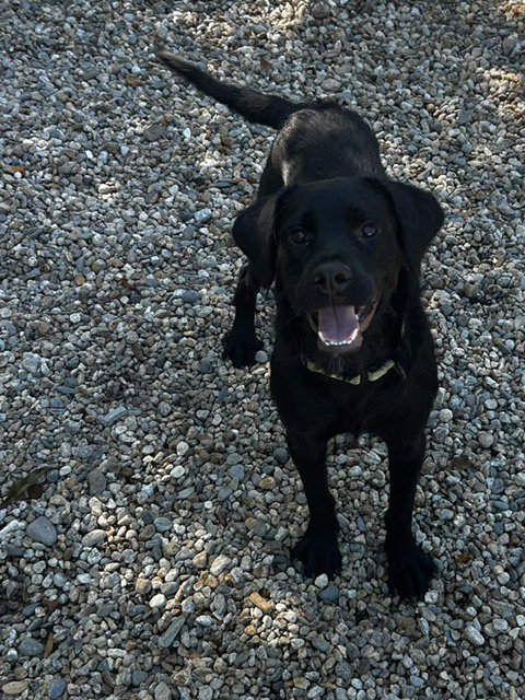 Ariel - 7 Months