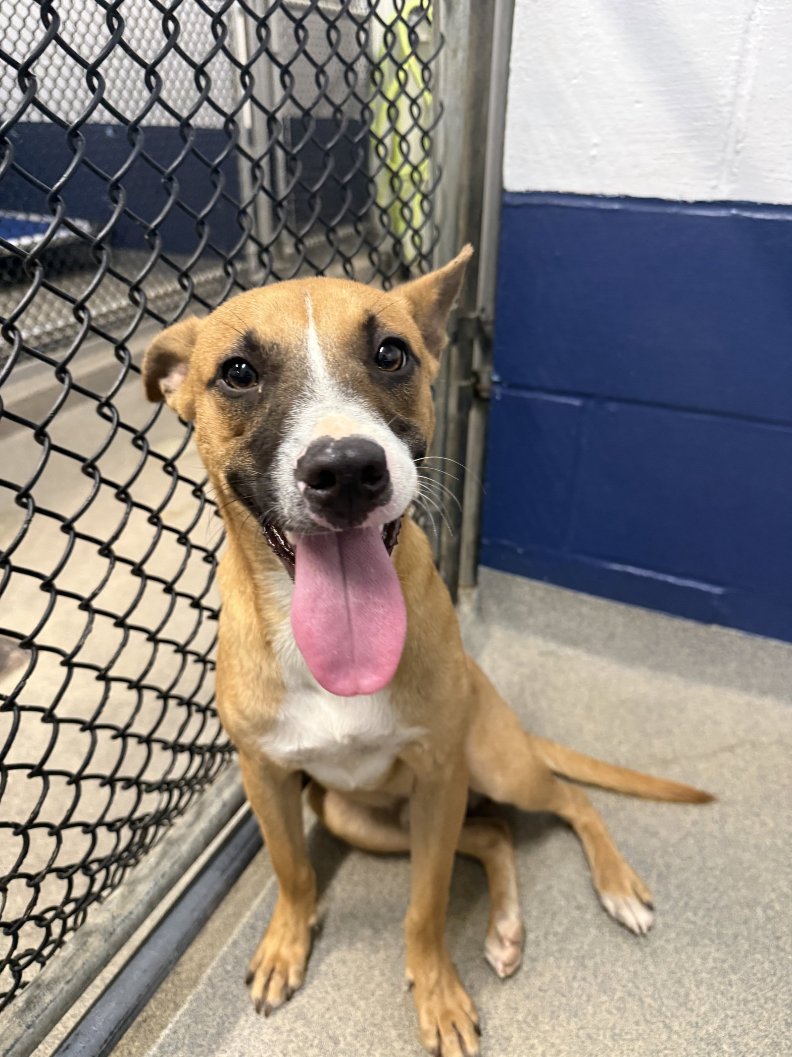 Carmelo 7mo - older kids pls