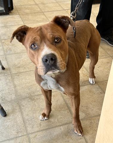Unknown