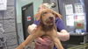 adoptable Dog in  named BOTTICELLI