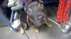 adoptable Dog in  named MERLIN