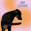 adoptable Dog in  named JUDY