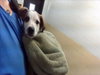 MONTY - Photo 1