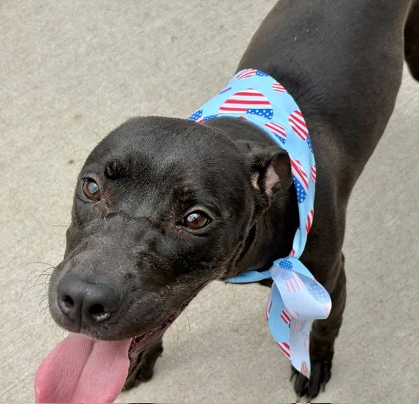 MOLLY