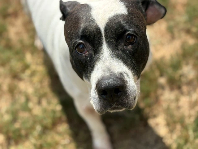 Super Nova