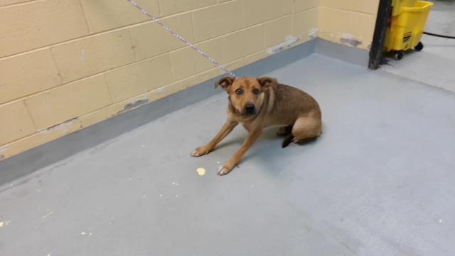 Gamora