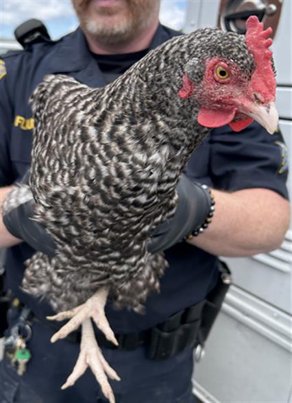 A1048138