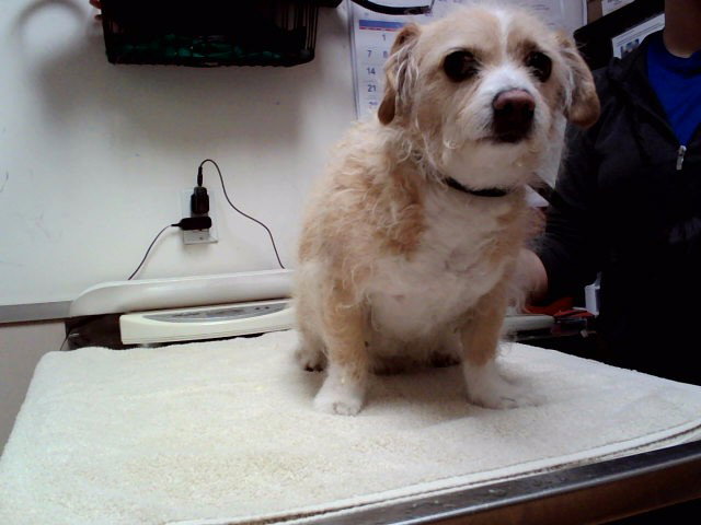 MAXX