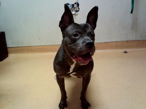 ETTA