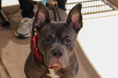 ETTA