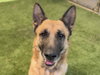 FABLE — Martinez, CA Adoption