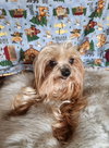 Tripp - Photo 2