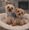 Tripp & Colton - Photo 1