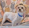 Martie - Photo 1