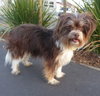 Buster