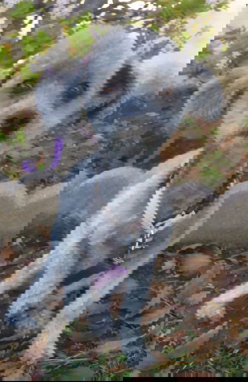 April