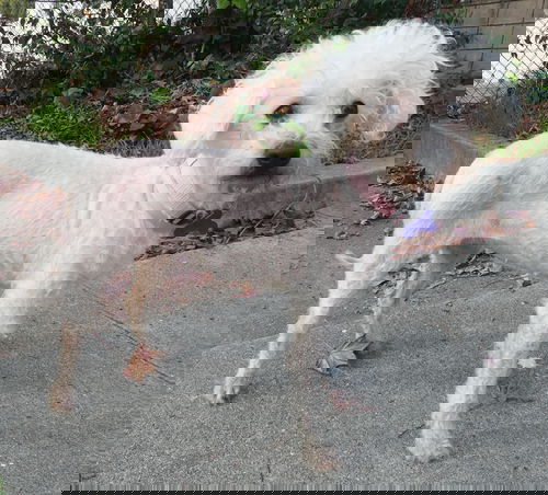 Jan