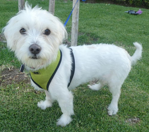 Charlie