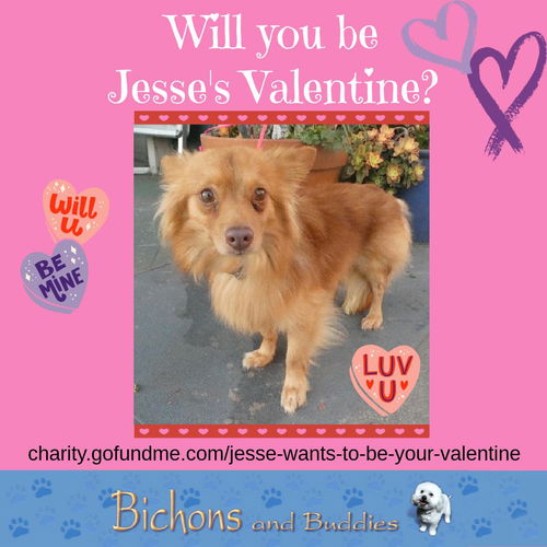 Jesse